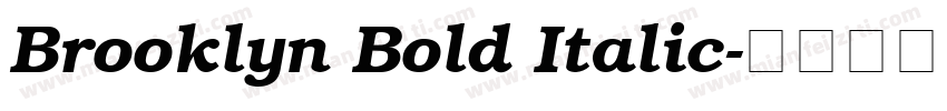 Brooklyn Bold Italic字体转换